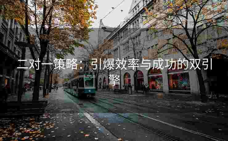 二对一策略：引爆效率与成功的双引擎