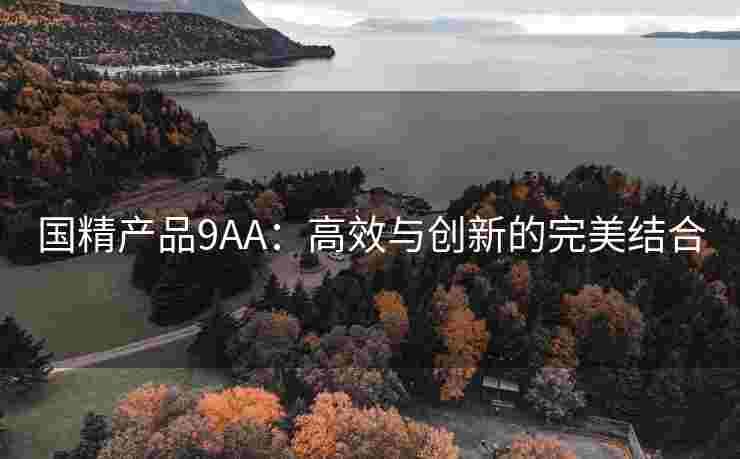 国精产品9AA：高效与创新的完美结合
