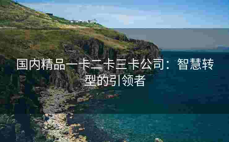国内精品一卡二卡三卡公司：智慧转型的引领者