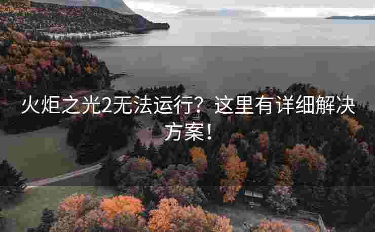 火炬之光2无法运行？这里有详细解决方案！