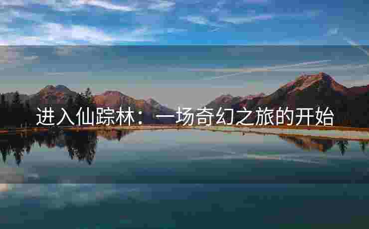 进入仙踪林：一场奇幻之旅的开始
