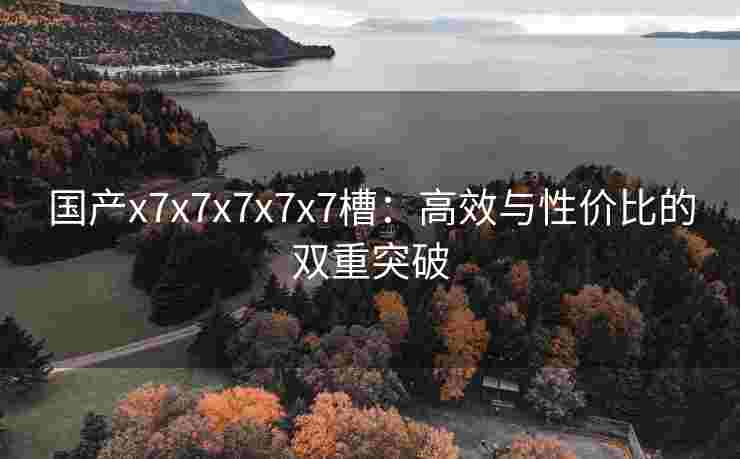 国产x7x7x7x7x7槽：高效与性价比的双重突破